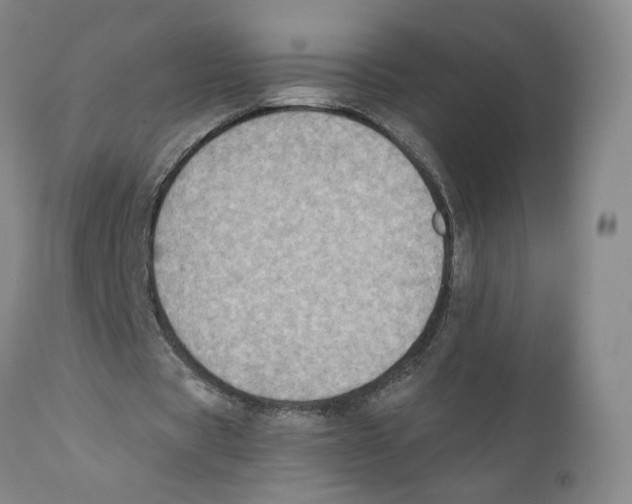 X0000110890529200907161528