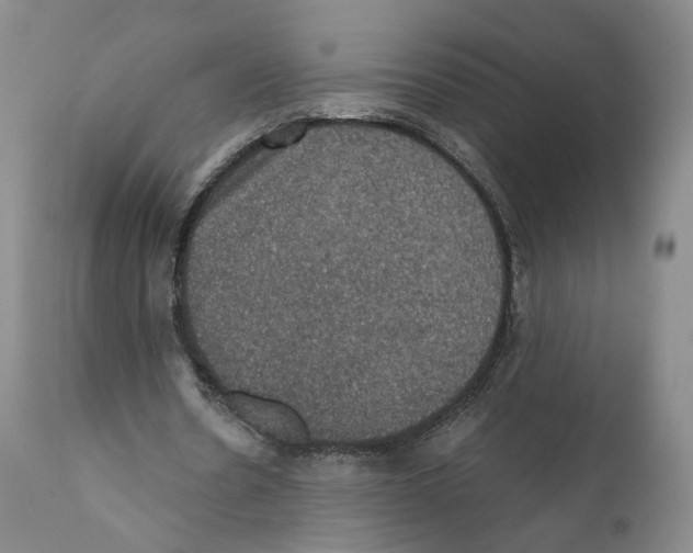 X0000110890530200907161528