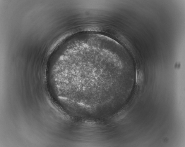 X0000110890531200907161528