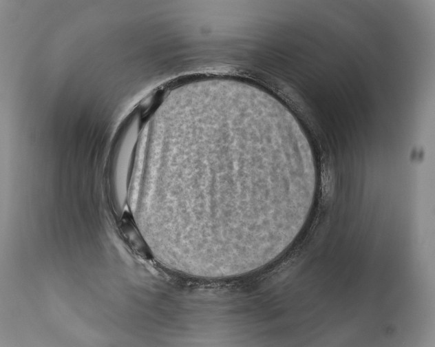 X0000110890532200907161528