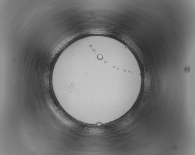 X0000110890533200907161528
