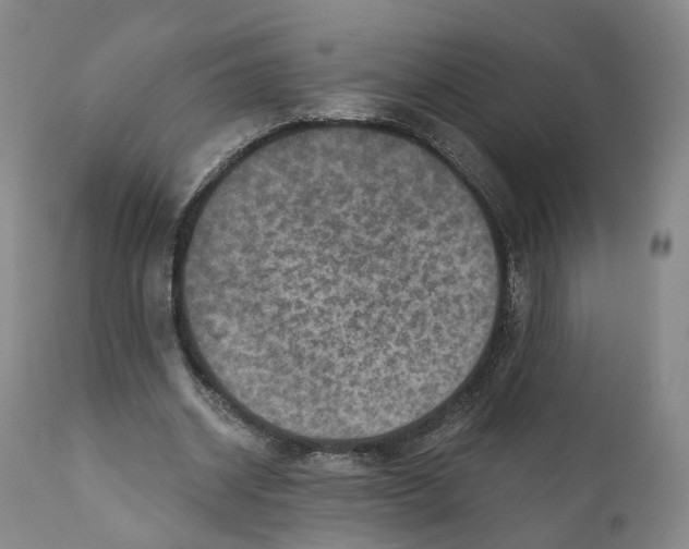 X0000110890534200907161528