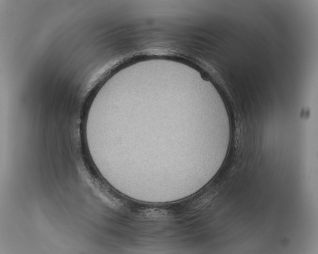 X0000110890535200907161528