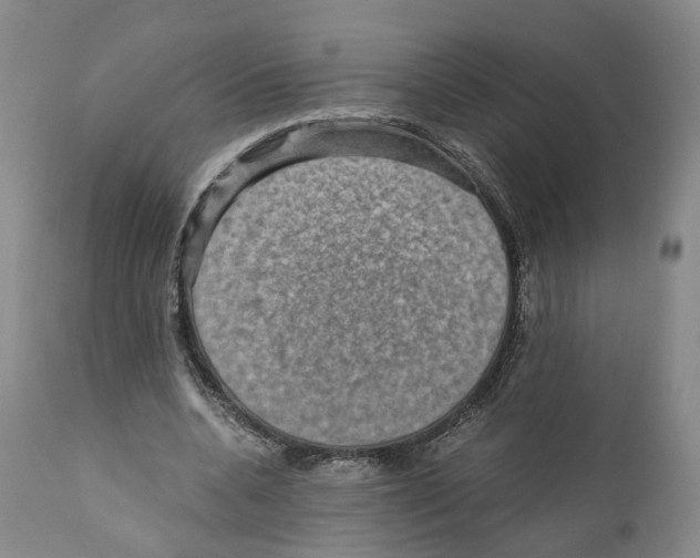 X0000110890536200907161528