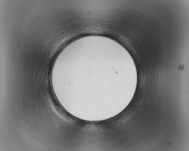 X0000110890538200907161528