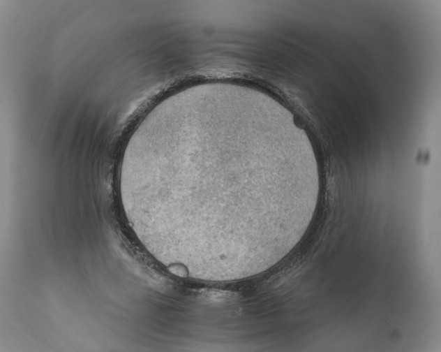 X0000110890539200907161528
