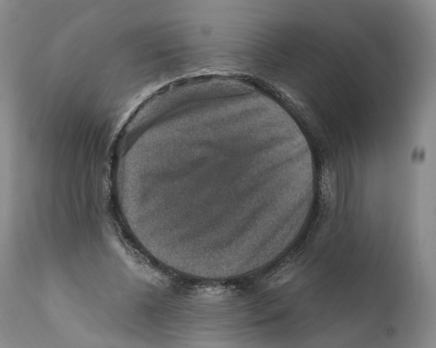 X0000110890540200907161528