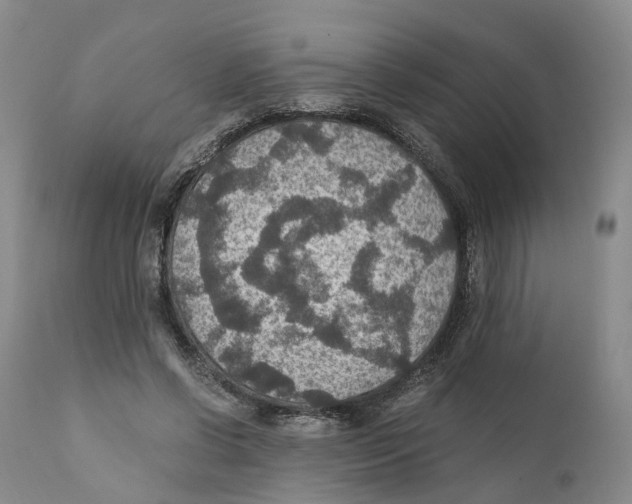 X0000110890542200907161528