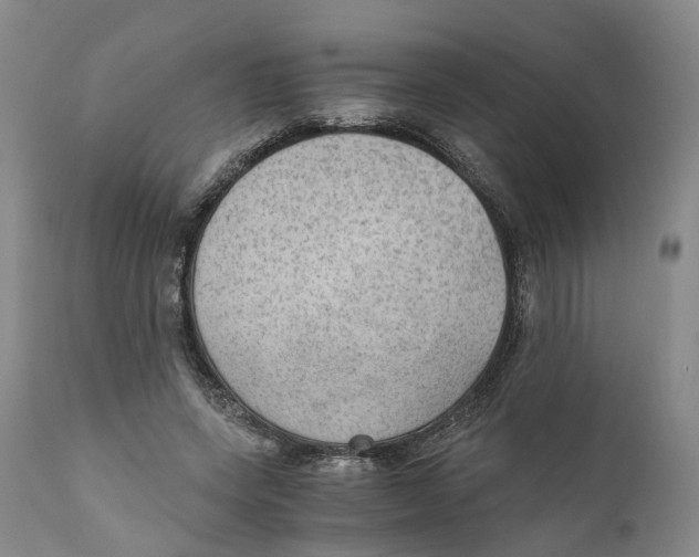 X0000110890543200907161528