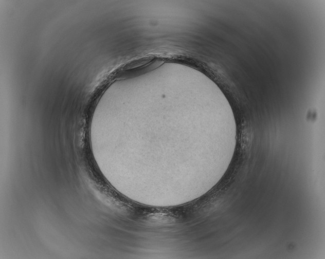 X0000110890544200907161528