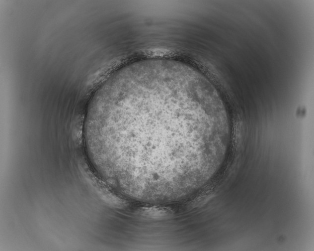 X0000110890545200907161528