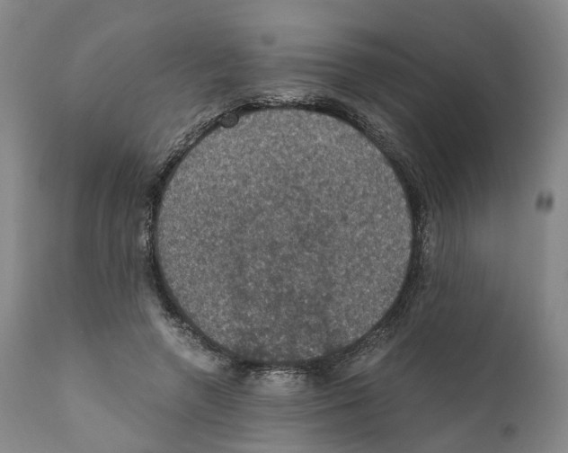X0000110890546200907161528