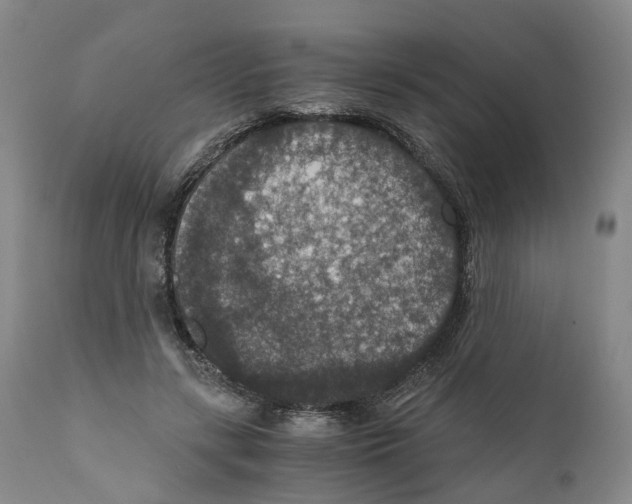 X0000110890547200907161528