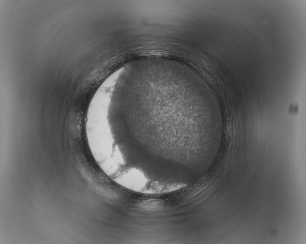 X0000110890551200907161528