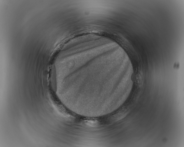 X0000110890552200907161528