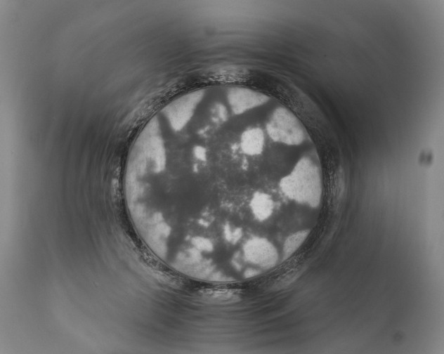 X0000110890553200907161528