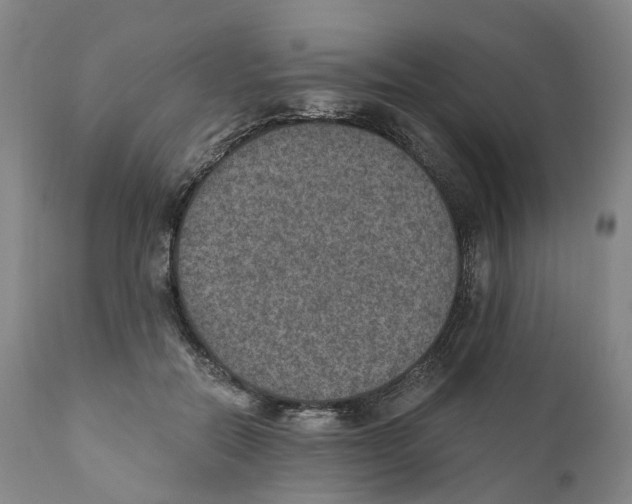 X0000110890554200907161528