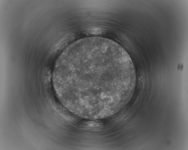 X0000110890555200907161528