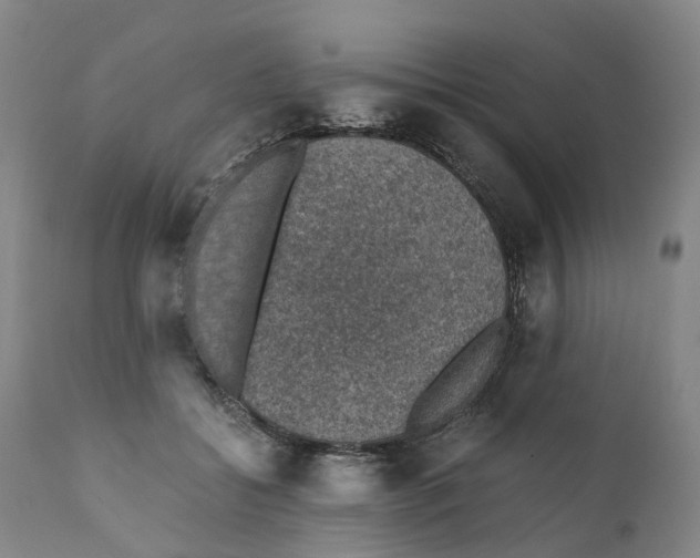 X0000110890556200907161528