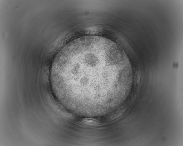 X0000110890557200907161528