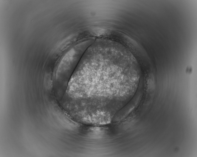 X0000110890558200907161528