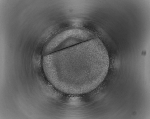 X0000110890560200907161528