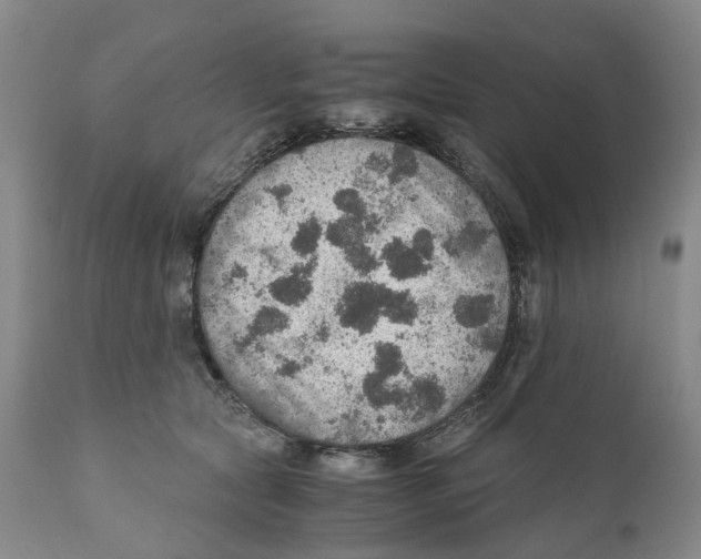 X0000110890561200907161528