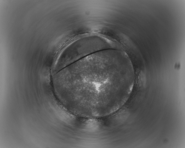 X0000110890562200907161528