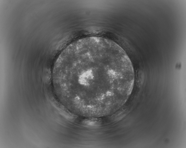 X0000110890563200907161528