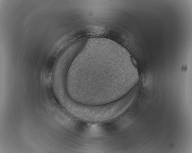 X0000110890564200907161528