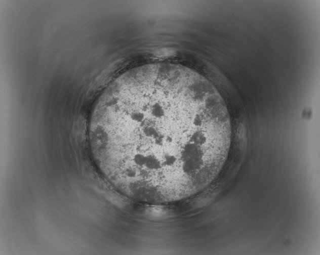 X0000110890565200907161528