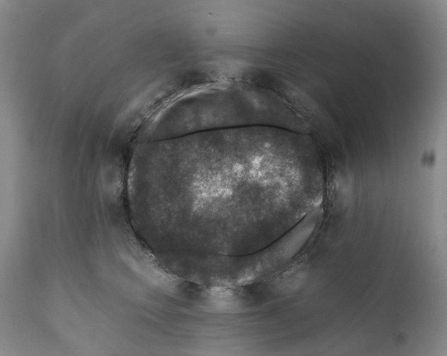 X0000110890566200907161528