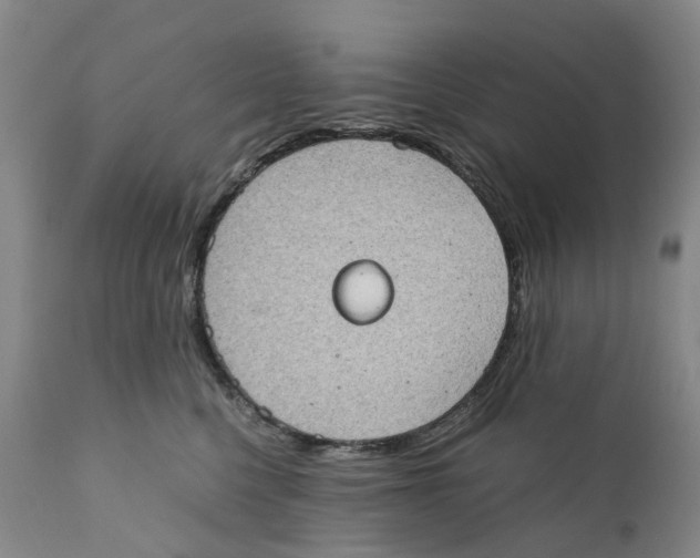 X0000110890568200907161528
