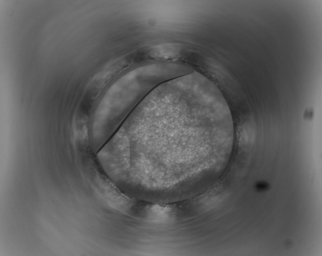 X0000110890570200907161528