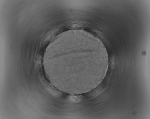 X0000110890571200907161528
