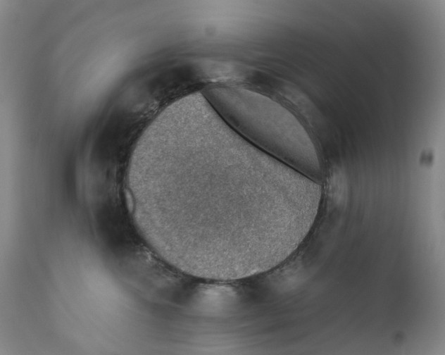 X0000110890572200907161528