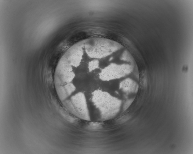 X0000110890573200907161528