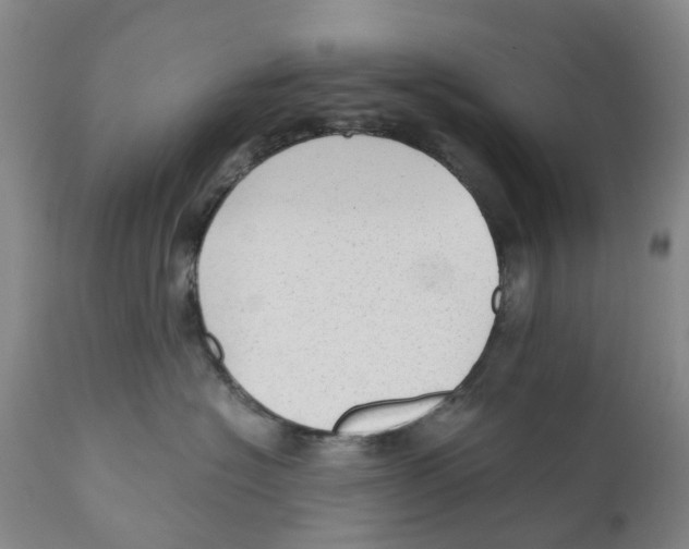 X0000110890574200907161528