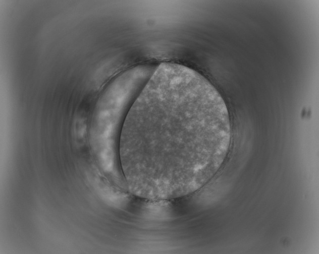 X0000110890576200907161528