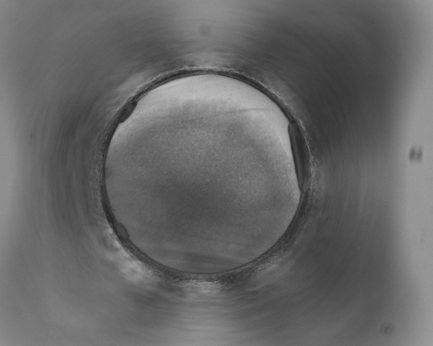 X0000110890577200907161528