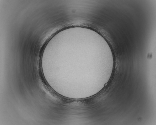 X0000110890578200907161528