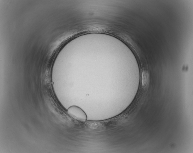 X0000110890579200907161528