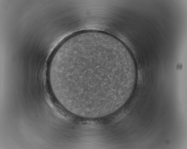 X0000110890580200907161528