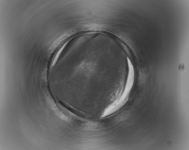 X0000110890581200907161528