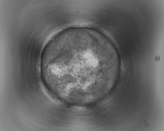 X0000110890582200907161528