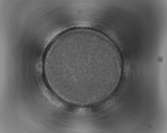 X0000110890584200907161528