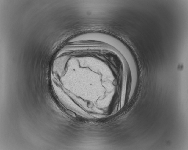 X0000110890585200907161528