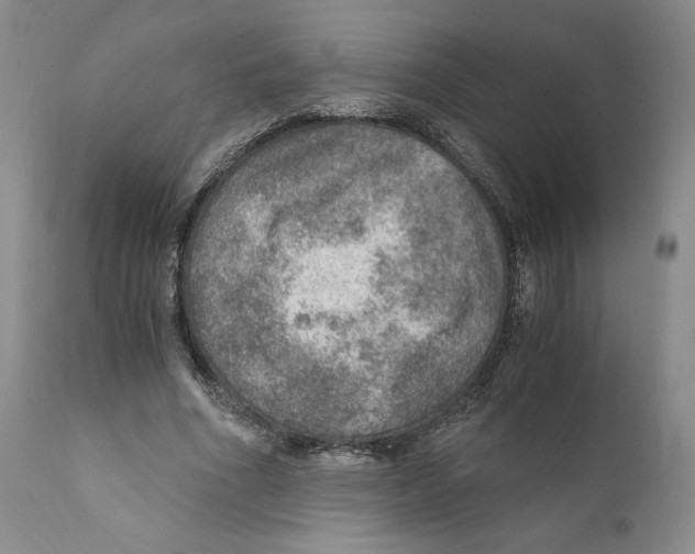 X0000110890586200907161528