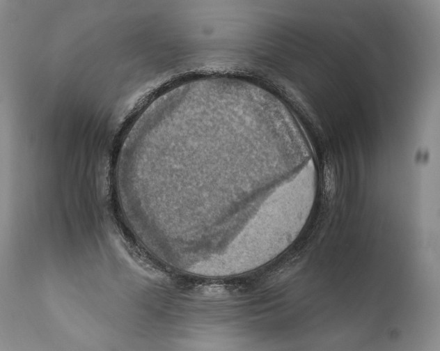 X0000110890588200907161528