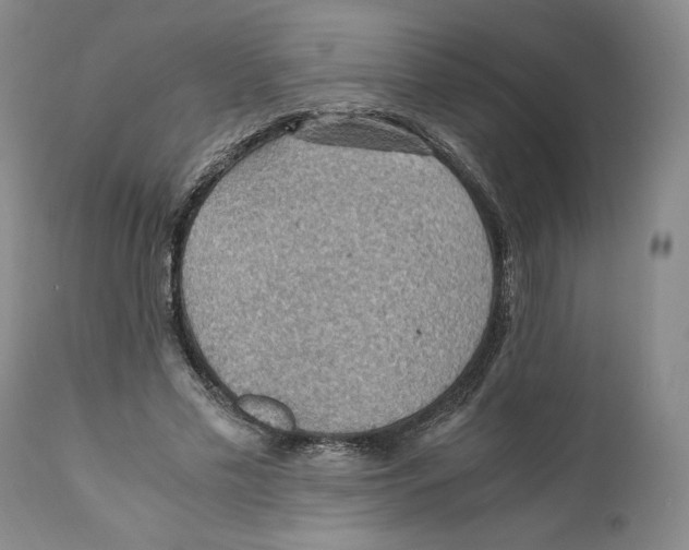 X0000110890589200907161528